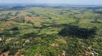 CONGO: oil company SNPC is to plant 50,000 hectares of trees on the Batéké Plateaux © AMNPIX/Shutterstock