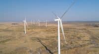 Énergie éolienne : la capacité installée de l’Afrique devrait bondir de 900 % © txking/Shutterstock