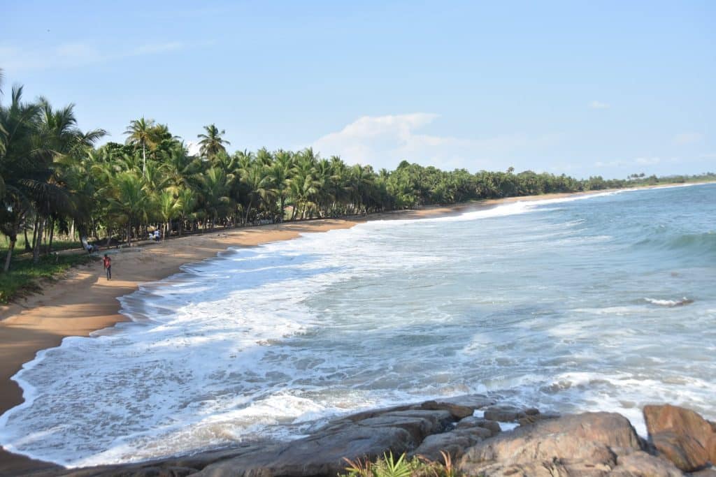 CÔTE D’IVOIRE : adhésion au «  Rampao  », un réseau de 9 pays protégeant les aires marines