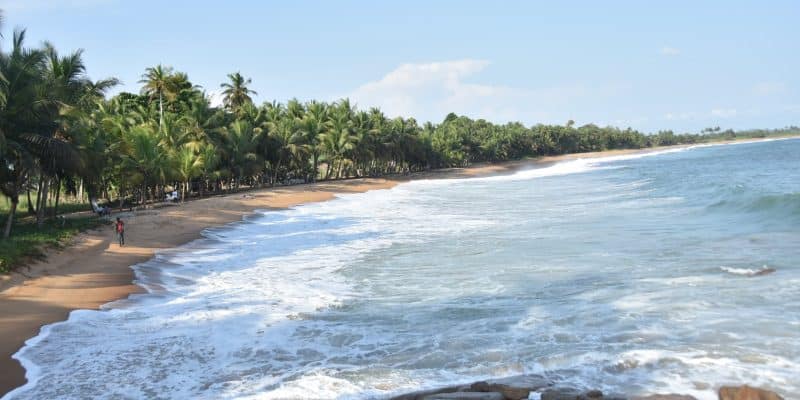 CÔTE D’IVOIRE : adhésion au «  Rampao  », un réseau de 9 pays protégeant les aires marines