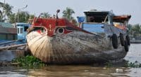 NIGÉRIA : Abuja s’attaque aux biosalissures marines pour préserver la biodiversité ©Christian Lévêque/IRD