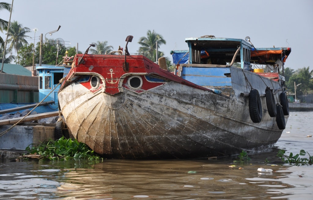 NIGÉRIA : Abuja s’attaque aux biosalissures marines pour préserver la biodiversité ©Christian Lévêque/IRD