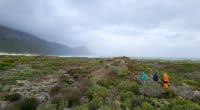 SOUTH AFRICA: Cape Town to create six nature reserves and renovate nine others ©Cape Town City