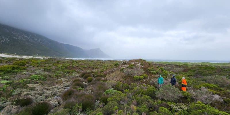 AFRIQUE DU SUD : le Cap va créer six réserves naturelles et en rénover neuf autres ©Ville du Cap