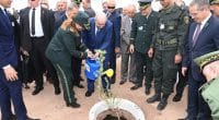 ALGERIA: 1 million hectares of steppe to be reforested by 2030©Presidency of Algeria