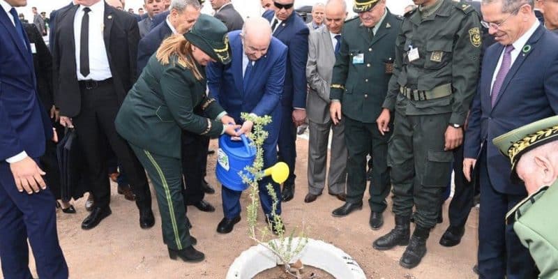 ALGERIA: 1 million hectares of steppe to be reforested by 2030©Presidency of Algeria