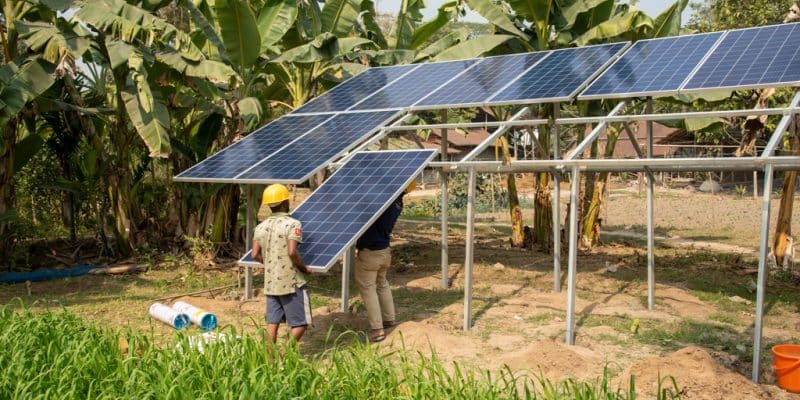 ZAMBIE : Oikocredit ouvre une ligne de crédit de 2M$ pour les systèmes solaires de RDG © ARIJIT1604/Shutterstock