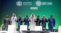 COP28 : 9 pays se joignent au Projet de chaîne de valeur des batteries électriques en Afrique©COP28 UAE