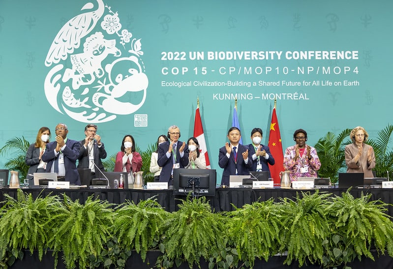 The two challenges for Africa at COP16 on biodiversity in Colombia in October © United Nations
