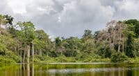 GABON: AfDB-supported study maps the country's water resources©Oleg Puchkov/Shutterstock