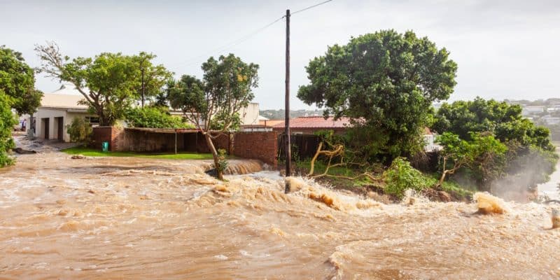 RDC : la solidarité s’organise à Kinshasa après des inondations qui ont fait 300 morts ©David Steele/Shutterstock