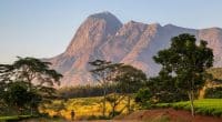 MALAWI: The World Bank grants $420 million to strengthen climate resilience © Radek Borovka/Shutterstock