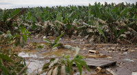 Floods, drought... African farmers soon to be insured to the tune of $1bn©Nelson Antoine/Shutterstock