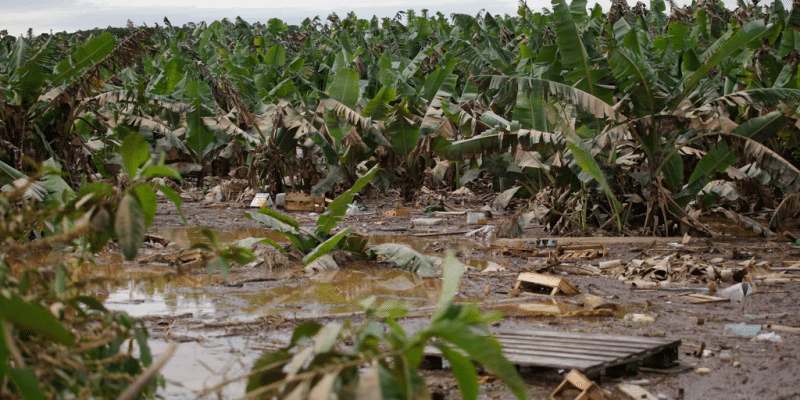 Floods, drought... African farmers soon to be insured to the tune of $1bn©Nelson Antoine/Shutterstock
