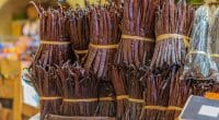 MADAGASCAR : la culture de la vanille en forêt menace 47% des espèces endémiques©Framalicious/Shutterstock