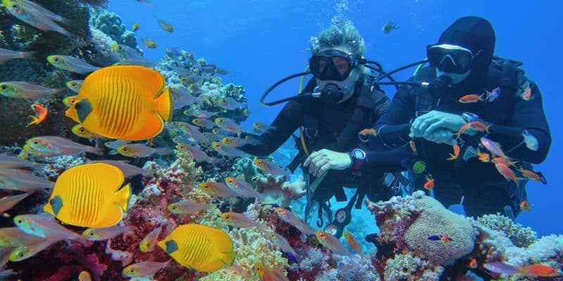TUNISIE : le trafic illégal achèvera-t-il les réserves de corail ? ©Tunatura/Shutterstock