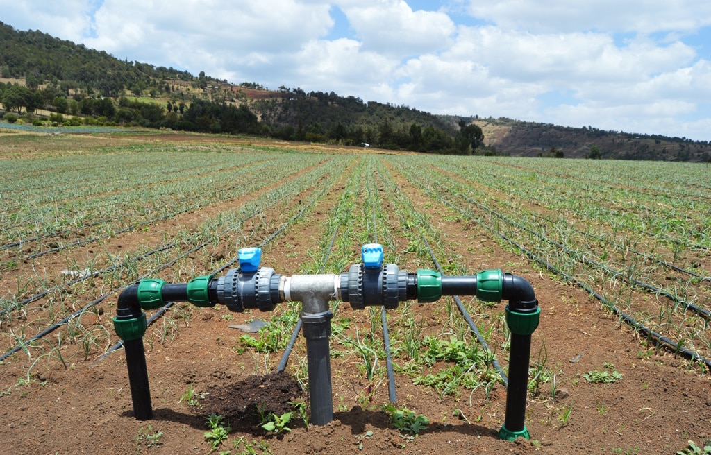 MENA : « Reuse » et irrigation moderne, à accélérer en 2024 face à la crise de l’eau©Davis Odwuor/Shutterstock