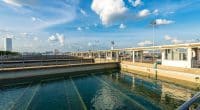 TUNISIE : Wabag va construire une nouvelle usine d’eau potable à Béjaoua ©People Image Studio/Shutterstock
