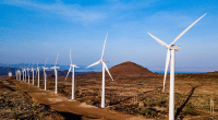 KENYA : l’américain BlackRock investit dans le parc éolien du lac Turkana (310 MW) © Milele Energy