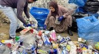 ÉGYPTE : en 3 ans, 700 tonnes de cartons de boissons seront collectées au Caire ©SIG GROUP