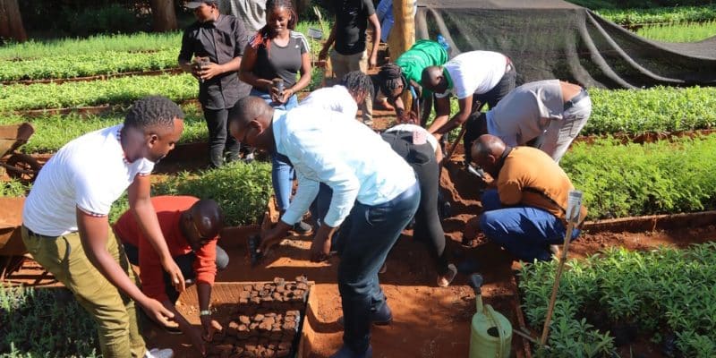 KENYA : un appel à candidatures pour accélérer les projets des start-up vertes ©KCIC