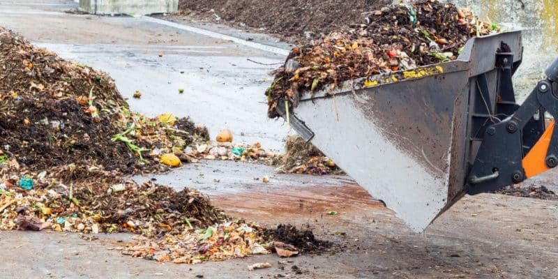 ÉGYPTE : 4 usines de recyclage soutiendront l’assainissement du drain de Kitchener ©Andriana Syvanych/Shutterstock