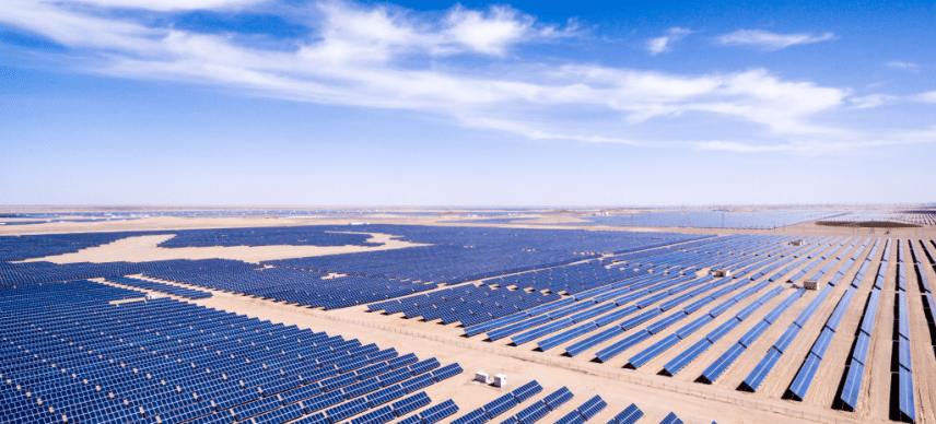 Développement de l’énergie solaire : un nouveau tournant décisif pour l’Algérie © zhangyang13576997233/Shutterstock