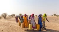 8 MARS : défis et priorités des femmes africaines face au changement climatique © Amors photos Shutterstock