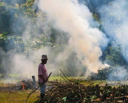 TANZANIE : la Banque mondiale suspend le financement de l'extension du parc de Ruaha© World Rainforest Movement /Shutterstock