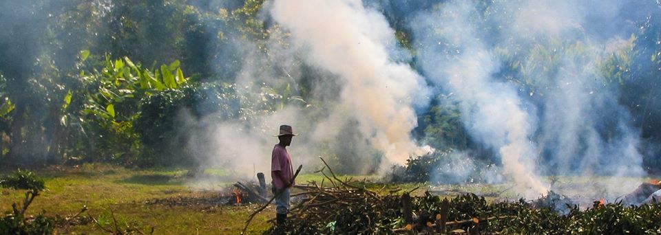 TANZANIE : la Banque mondiale suspend le financement de l'extension du parc de Ruaha© World Rainforest Movement /Shutterstock
