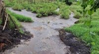 IVORY COAST: agro-industrialist Adam condemned for polluting waterways in the country ©Ivorian Ministry of the Environment