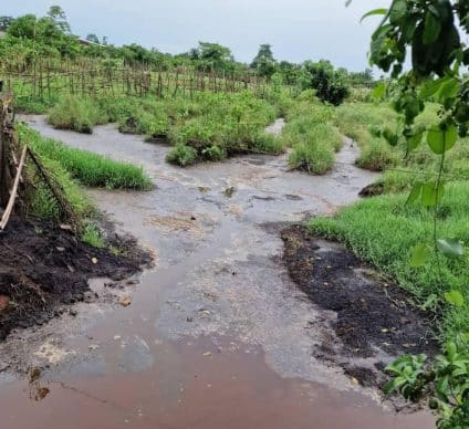 IVORY COAST: agro-industrialist Adam condemned for polluting waterways in the country ©Ivorian Ministry of the Environment