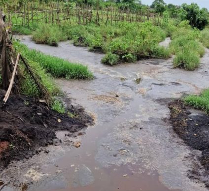 CÔTE D’IVOIRE : l’agro-industriel Adam, condamné pour pollution des cours d’eau au sud ©Ministère ivoirien de l’Environnement