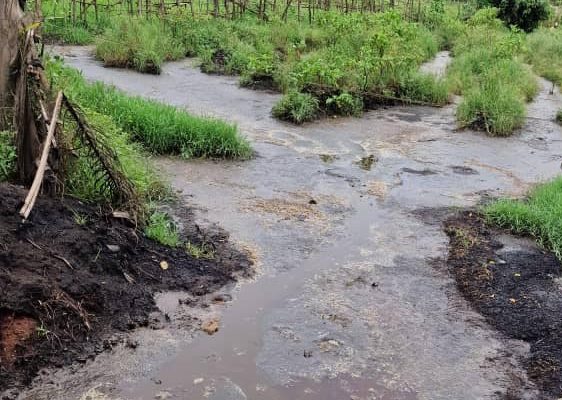 CÔTE D’IVOIRE : l’agro-industriel Adam, condamné pour pollution des cours d’eau au sud ©Ministère ivoirien de l’Environnement