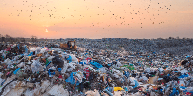 Une coentreprise va investir dans la valorisation énergétique des déchets en Afrique© Roman Mikhailiuk/Shutterstock
