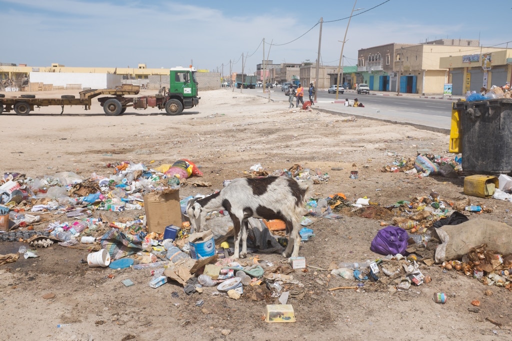 L’Éthiopie lance une campagne pour réduire la pollution dans ses villes © DorSteffen/Shutterstock