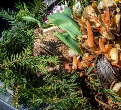 KENYA : les déchets organiques seront bientôt collectés avec des sacs biodégradables ©Mickis-Fotowelt/Shutterstock