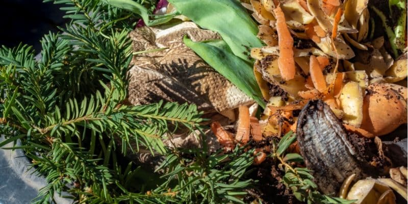 KENYA : les déchets organiques seront bientôt collectés avec des sacs biodégradables ©Mickis-Fotowelt/Shutterstock