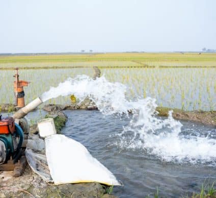 NIGER : un programme permettra l’irrigation de 21 200 hectares de terres d’ici à 2027 ©Abdul batin/Shutterstock