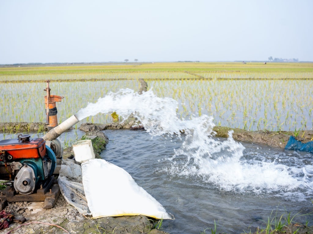 NIGER : un programme permettra l’irrigation de 21 200 hectares de terres d’ici à 2027 ©Abdul batin/Shutterstock