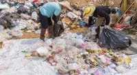 SEYCHELLES: UNEP's call for funding for green waste entrepreneurship©jointstar/Shutterstock