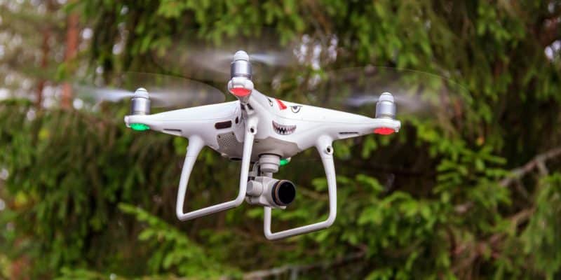 MAURITANIE/SÉNÉGAL : 35 agents forestiers formés à la télédétection par drone ©Studio MDF/Shutterstock
