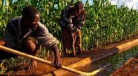 La BAD au chevet du Malawi avec 22 M$ pour combattrecontre sa vulnérabilité climatique ©BAD