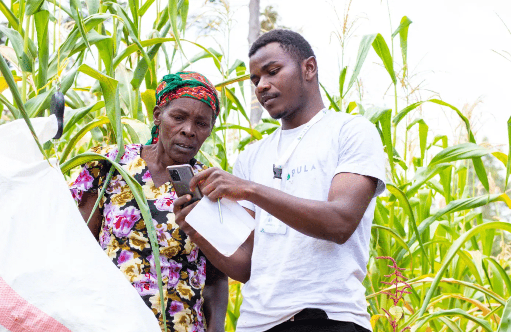 Start-up Pula raises $20m for climate insurance for African farmers ©BlueOrchard