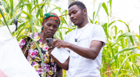 La start-up Pula lève 20 M$ pour l’assurance climatique des agriculteurs africains ©BlueOrchard