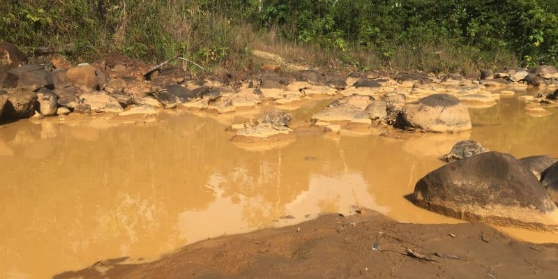 NIGER : des mines d'or chinoises fermées après la mort d’une cinquantaine de bêtes©Panga Media/Shutterstock
