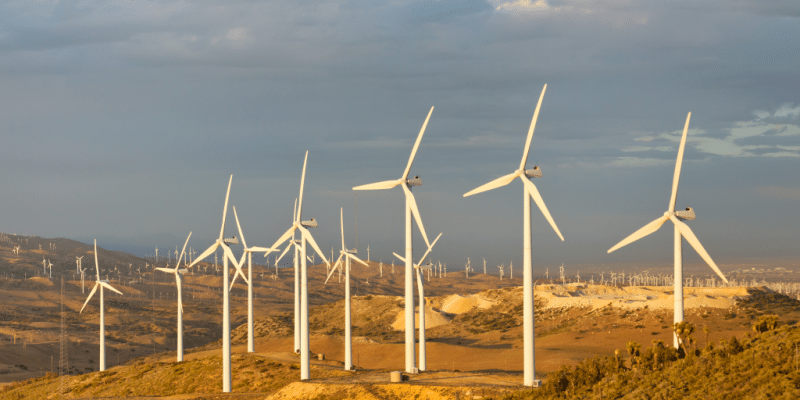 Engie and Scatec secure land for 8 GW of wind turbines in the Egyptian desert © Patrick Poendl/Shutterstock